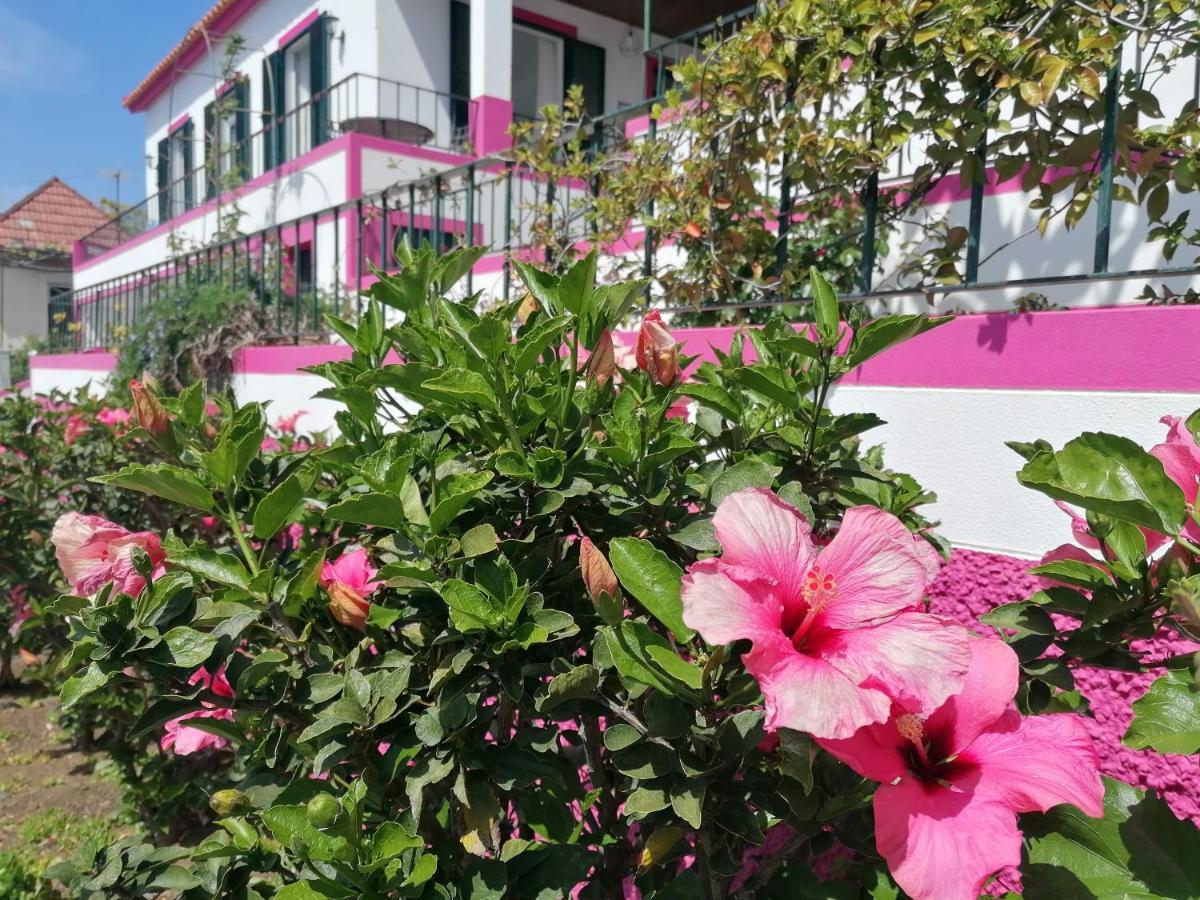 Westerland House Ribeira Brava Exteriér fotografie
